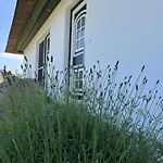 Sorgenfrei *